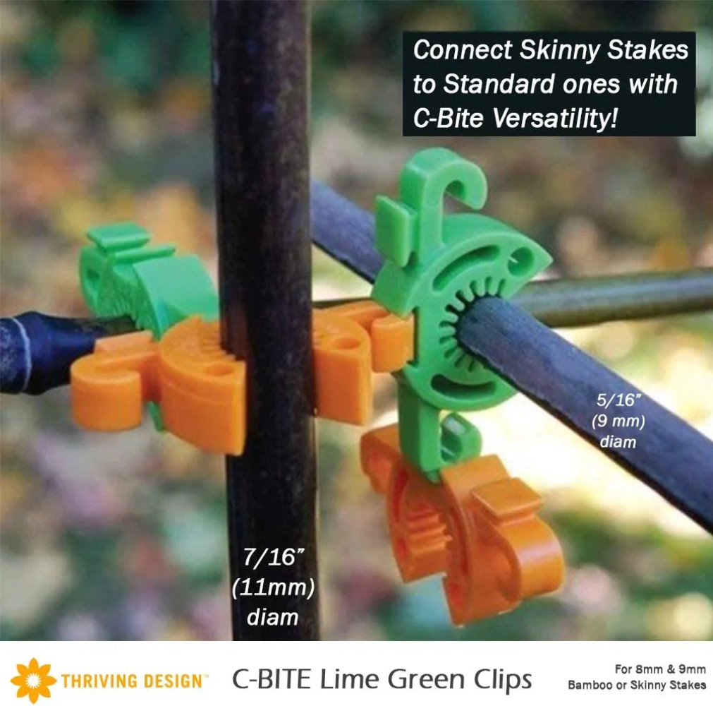 C-BITE Orange – 10-11mm