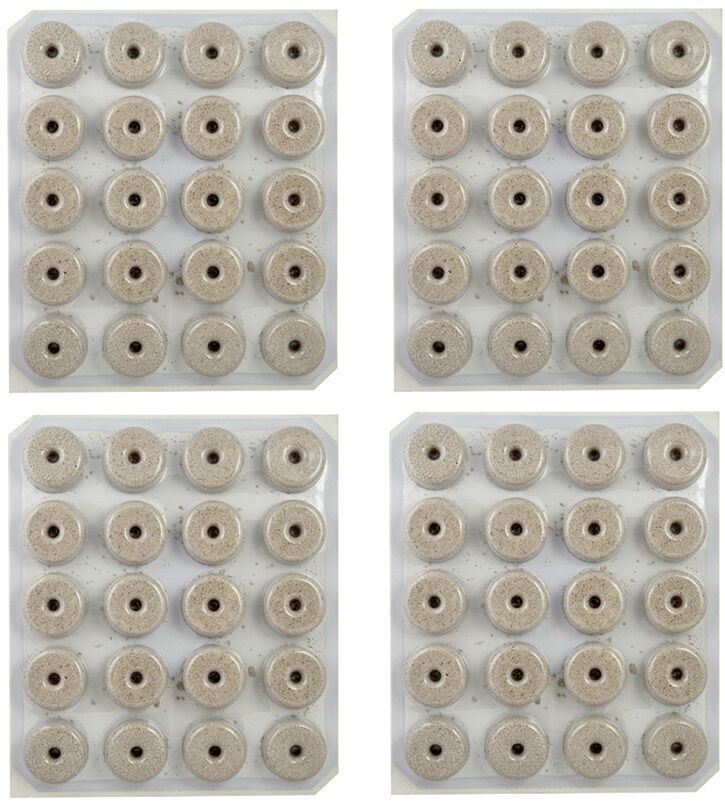 Summit Mosquito Dunks 111-5 80 Dunks 4 x 20 Organic Biological Mosquito Control