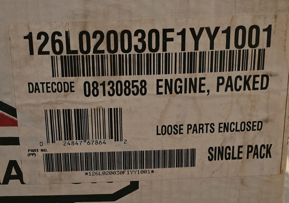 Briggs & Stratton 126L02 0030-F1 06082159 Engine