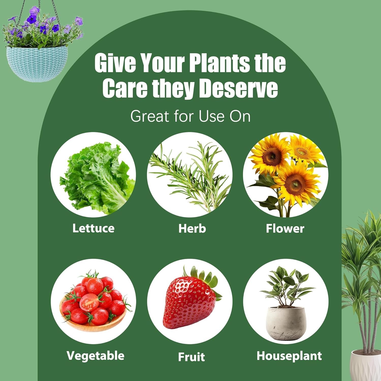 Hydroponics Nutrients (800Ml Total), Plant Food a & B for Hydroponic Growing Sys