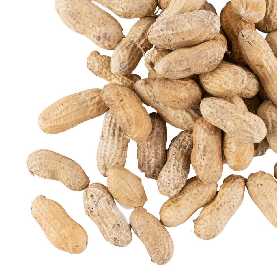 Unsalted In-Shell Peanuts (select size below)