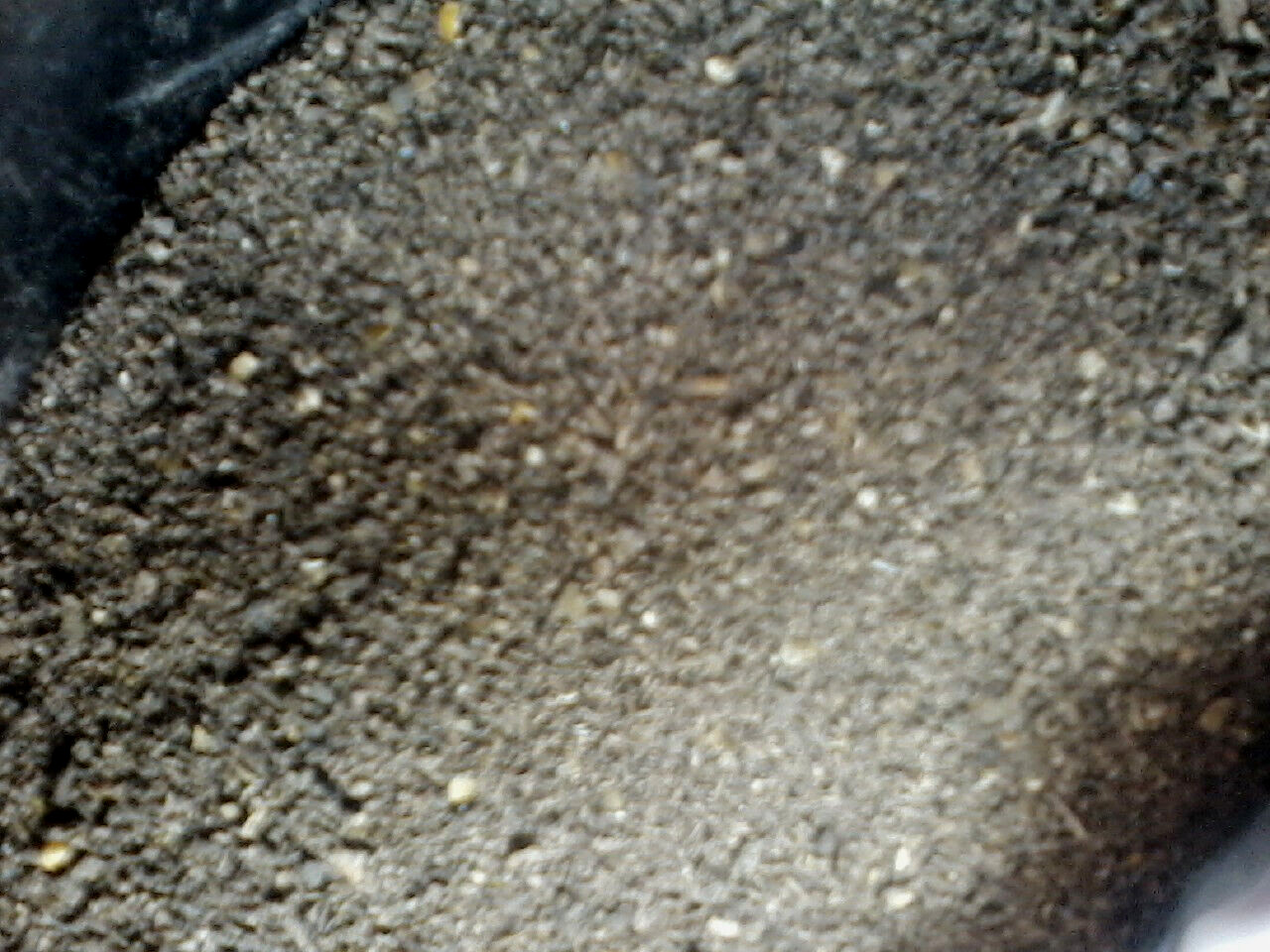 Chicken Manure Organic Fertilizer – 1 $ a Pound packed in 10 Pound Lots