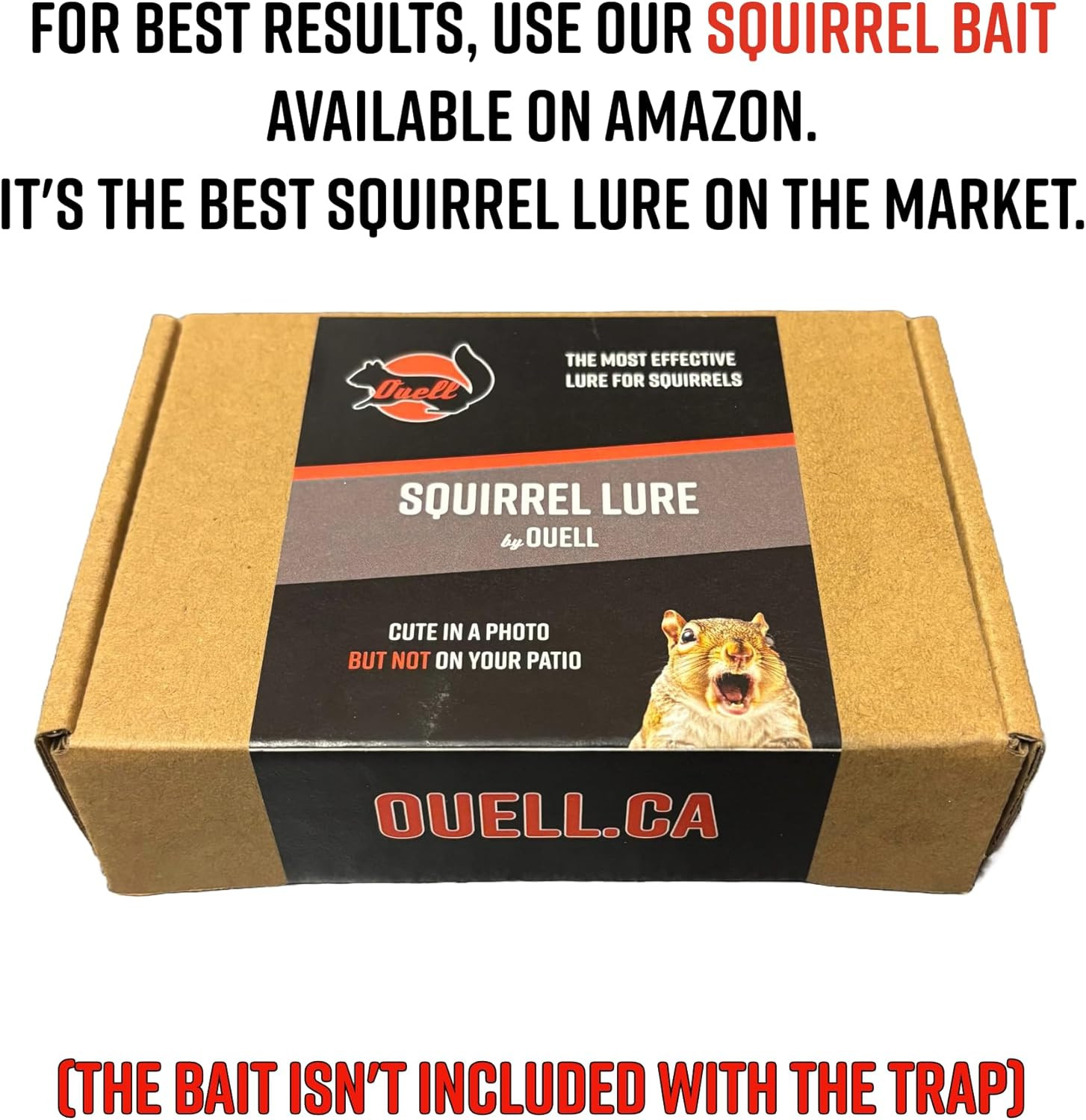 Trap for Big Squirrels from Pieges Ouell Traps
