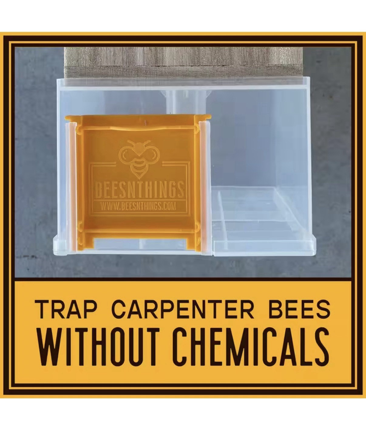 Bees N Things Carpenter Bee Hanging Insect Trap with 15 ft. Coverage (Lot of 4)