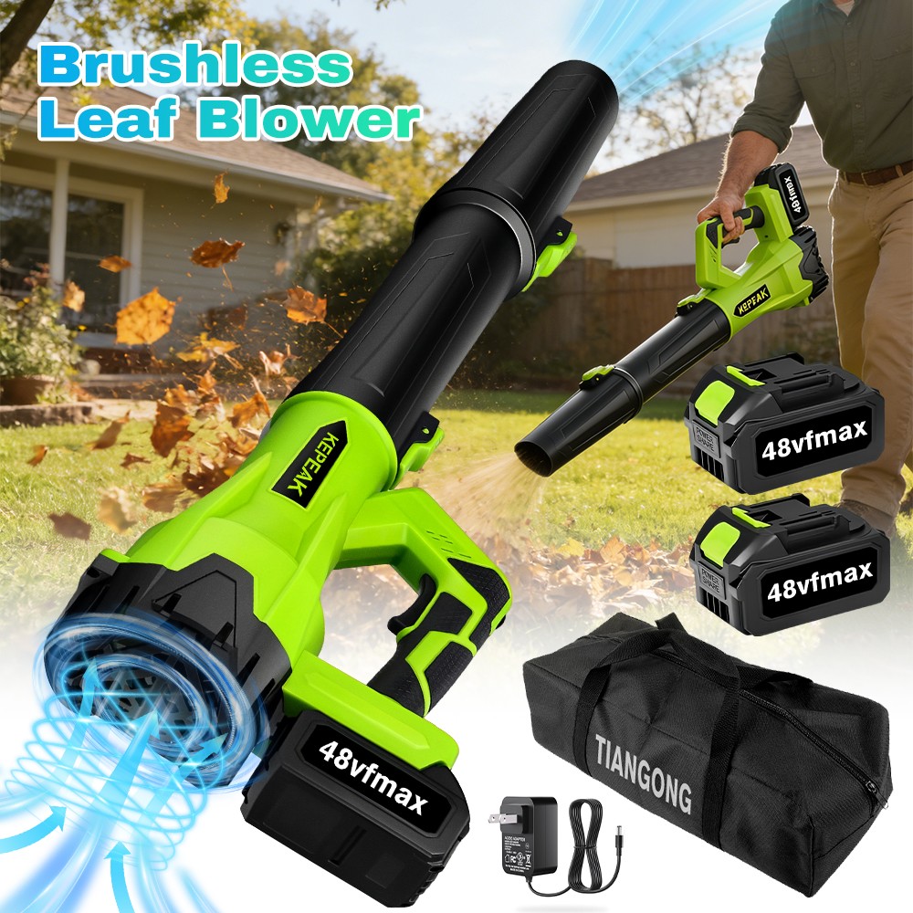 Cordless Leaf Blower 6-Speed Battery Operated Lightweight Handheld +2 Batteries