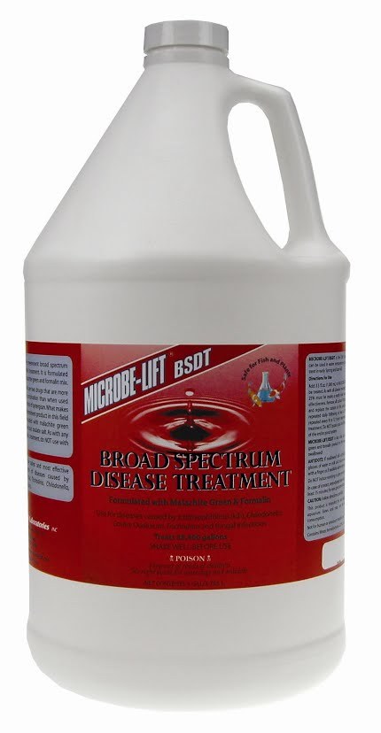 Microbe Lift Broad Spectrum Disease Treatment Parasitic Ich and Fungal Treatment