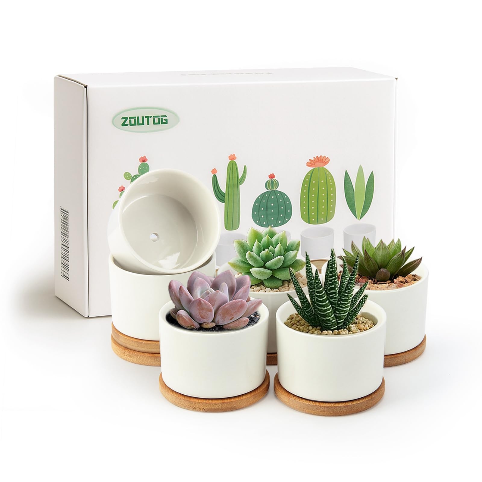 Succulent Pots 3.1 Inch,6 Pack Succulent Planters,Small Pots for Plants with …