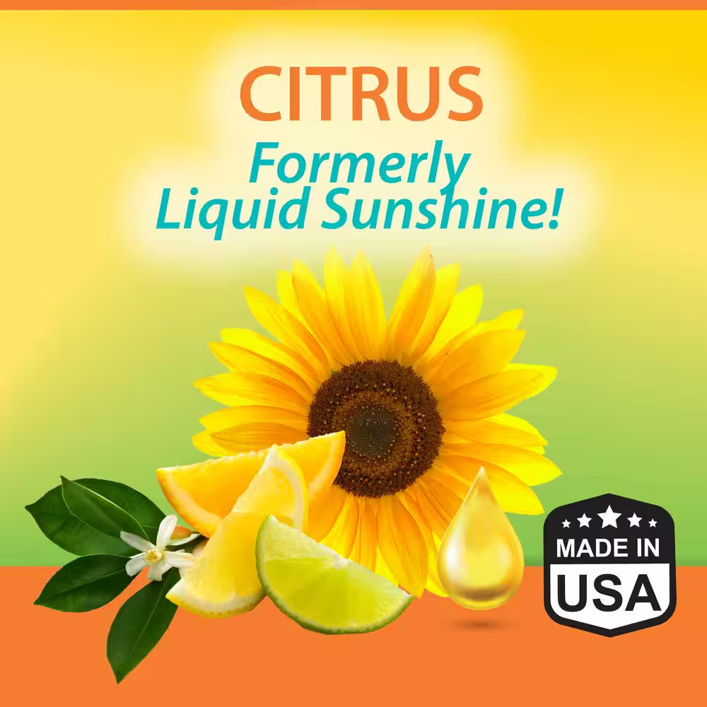 14 Oz. Citrus Solid Odor Absorber, Odor Eliminator for Smoke Odor and Musty Smel