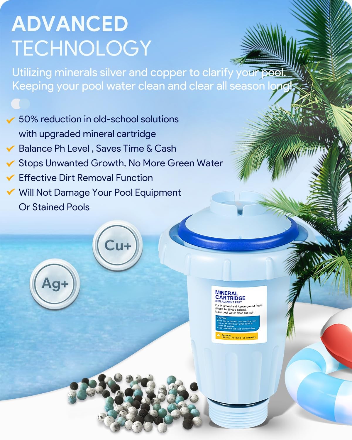 Nature2 Express W28175 Cartridge Replacement for Pools up to 30,000 Gallons