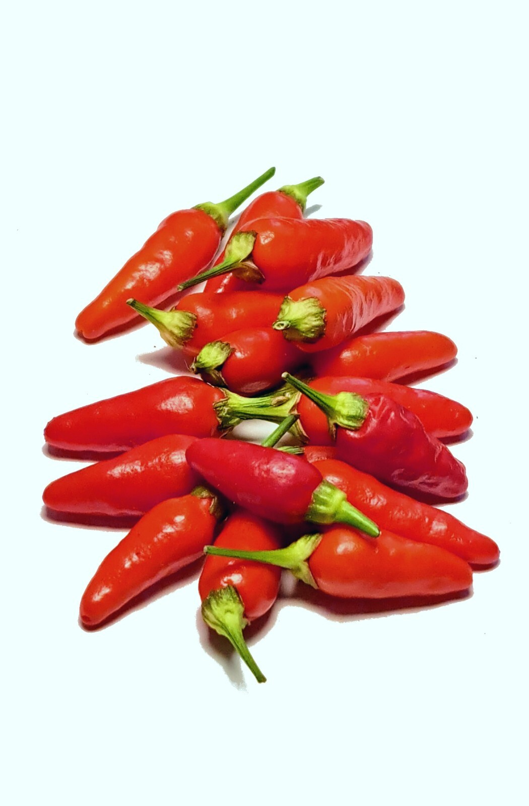 Hawaiian Chili Hot Pepper Seeds Birdseye Heirloom