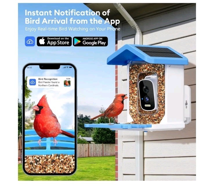 Smart Bird Feeder with HD Camera, Solar Powered, AI Bird Identification, Live St
