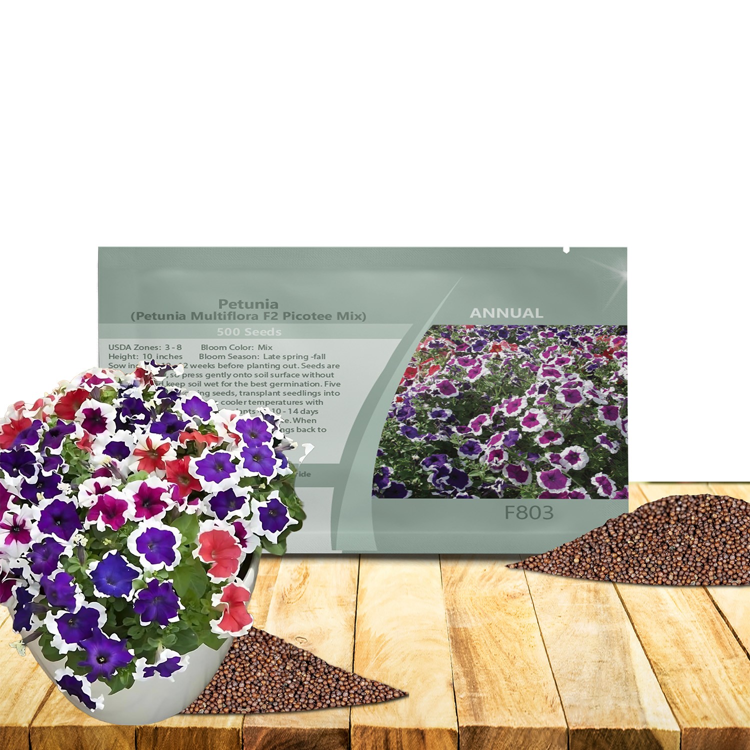 500 Seeds Petunia Multiflora Seed – Picotee Petunia Flower Seeds Mix