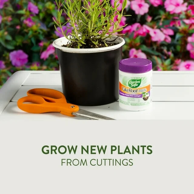 2 PACK Garden Safe Take Root Rooting Hormone, 2-Ounce