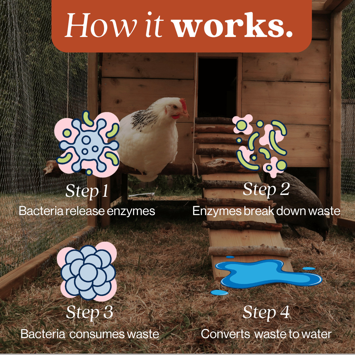 Chicken Coop Odor Eliminator
