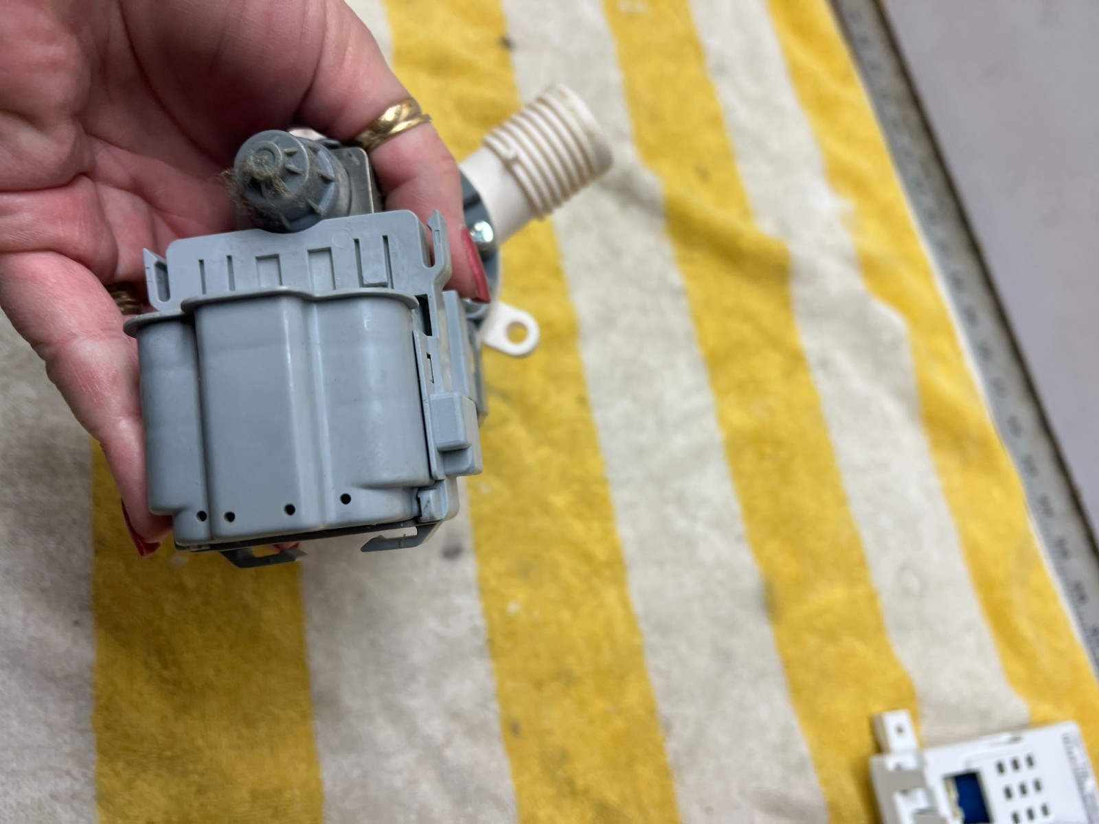WPW10276397 Whirlpool Washer Drain Pump Kenmore Maytag Amana Roper