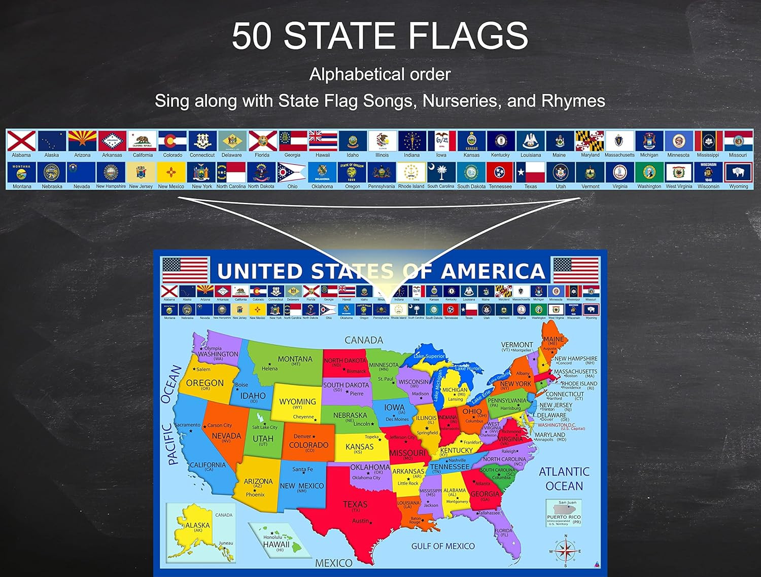 United States Map with State Flags Poster – Laminated 14X19.5 In. – Educational