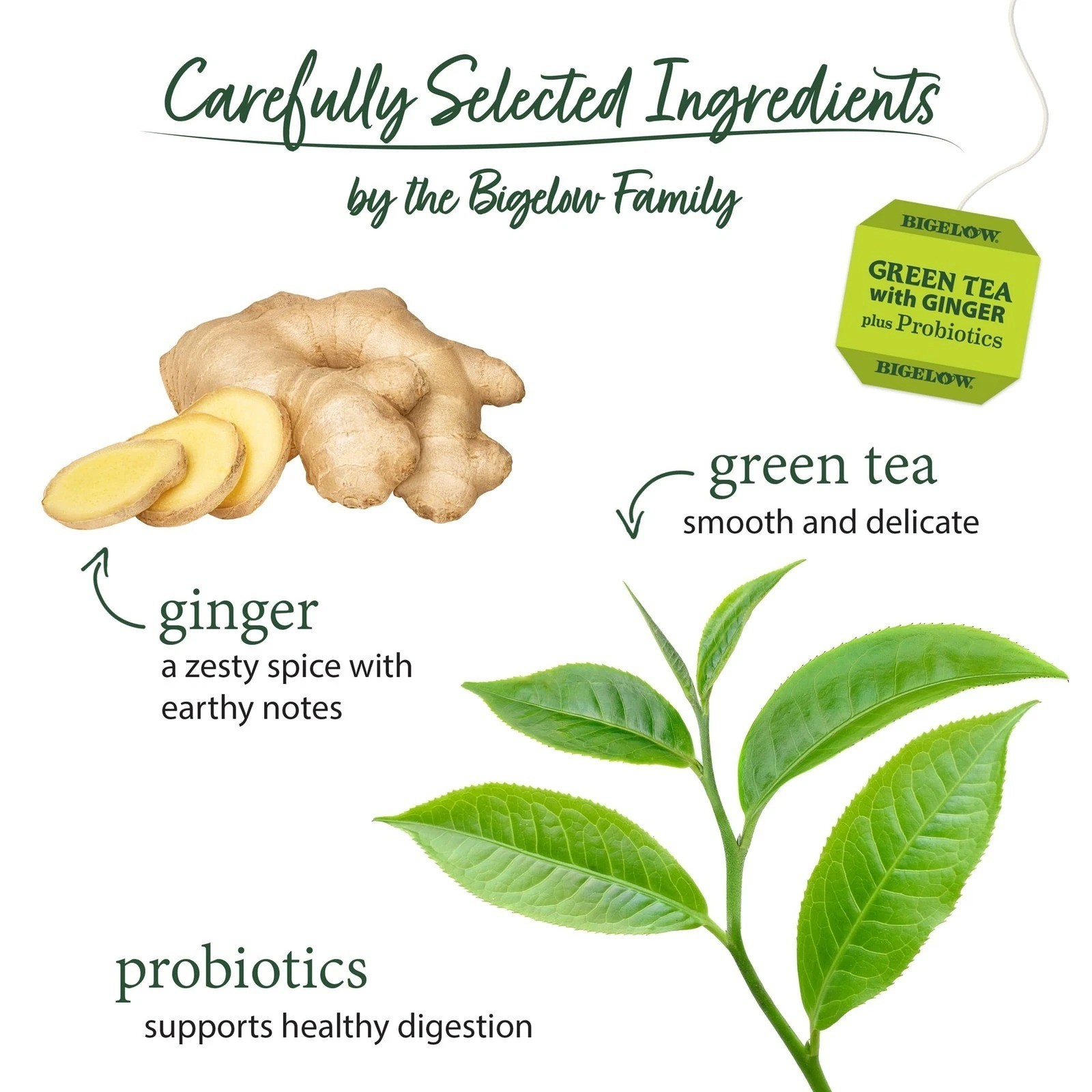 Bigelow, Green Tea with Ginger Plus Probiotics, 18 Tea Bags