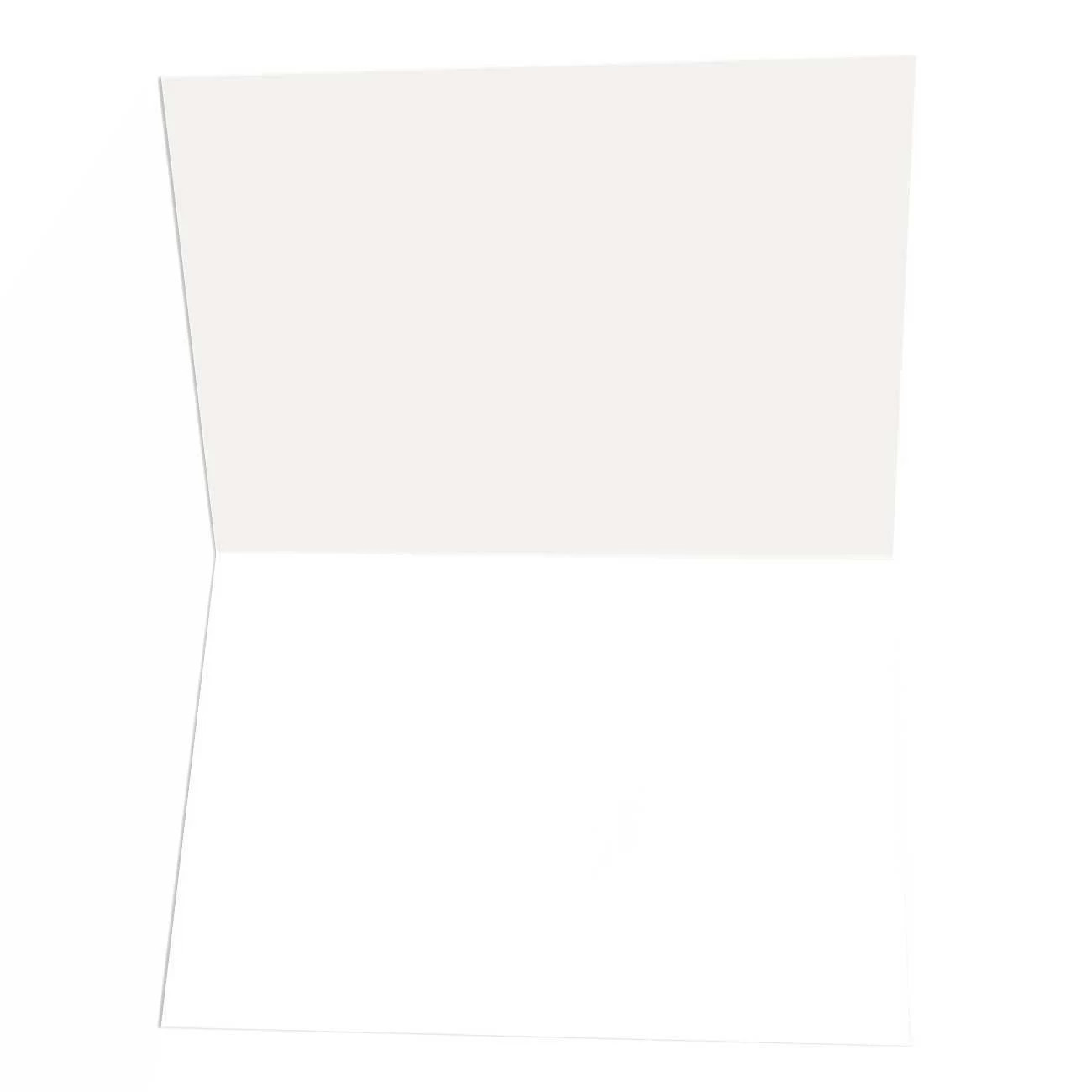 Cute Dragonfly Blank Note Card – 10 Boxed Cards – Note Card – B14433