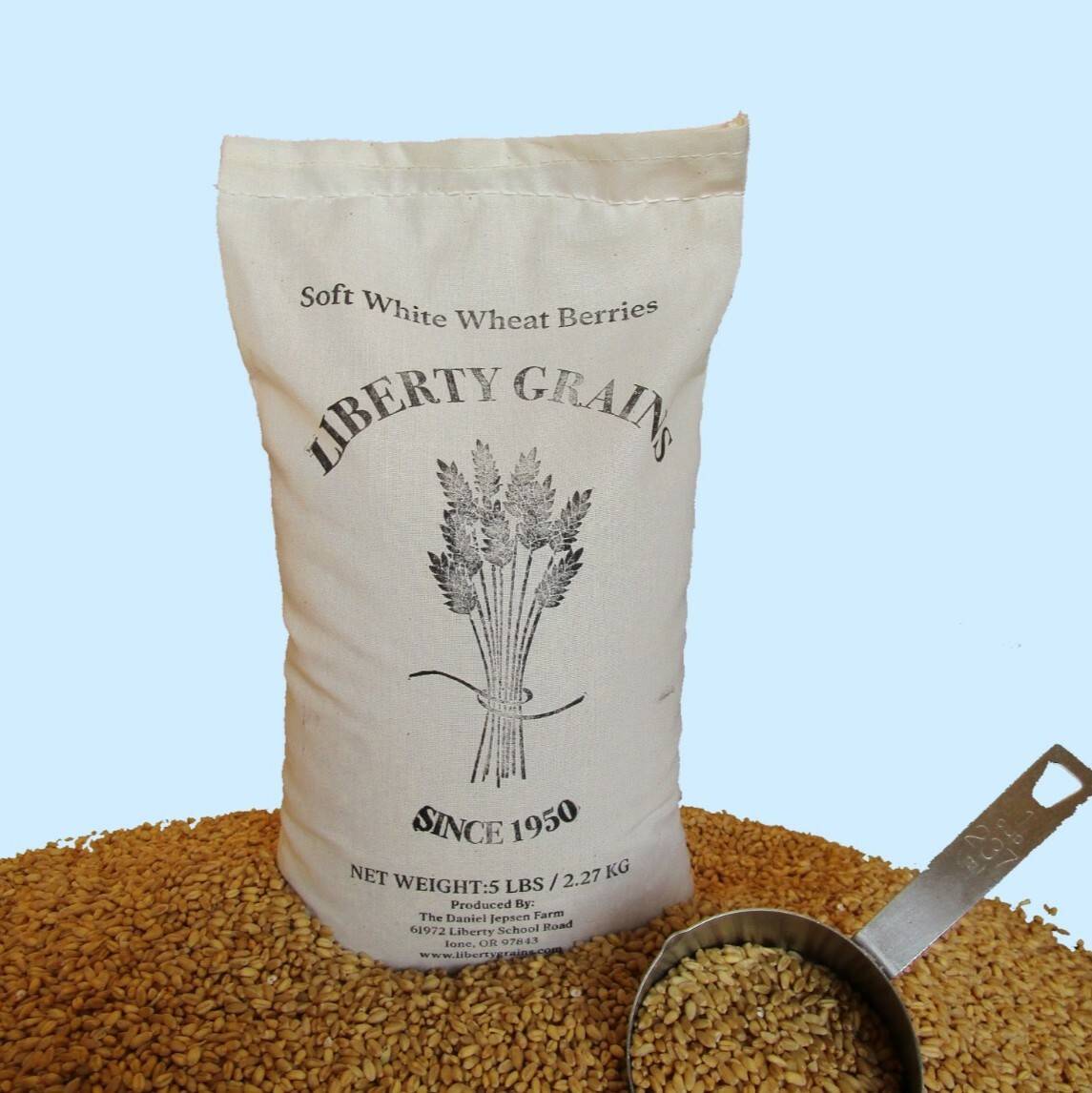 5 lbs. Soft White Wheat Berries – Family Farmed, Single Source
