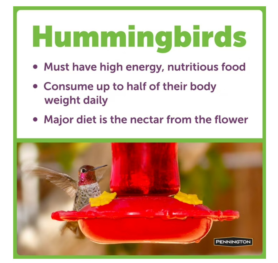 (2 pack) Pennington Hummingbird Nectar, 16 fl oz Bottle