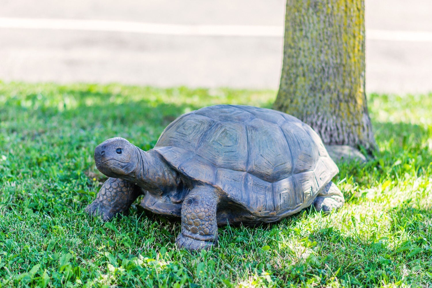 30 in Large Turtle Garden Statue Backyard Garden Lawn Decor