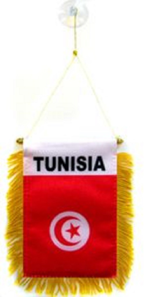 Tunisia MINI BANNER FLAG GREAT FOR CAR & HOME WINDOW MIRROR HANGING 2 SIDE