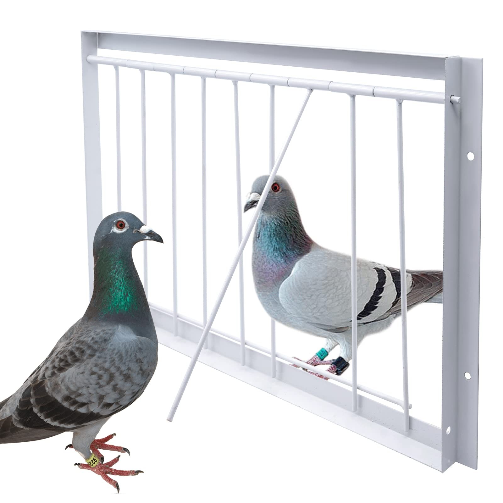 Junniu 15.7in/40cm Pigeon Cage T-Trap Birdcage Iron Wire Trap Door for Racing…