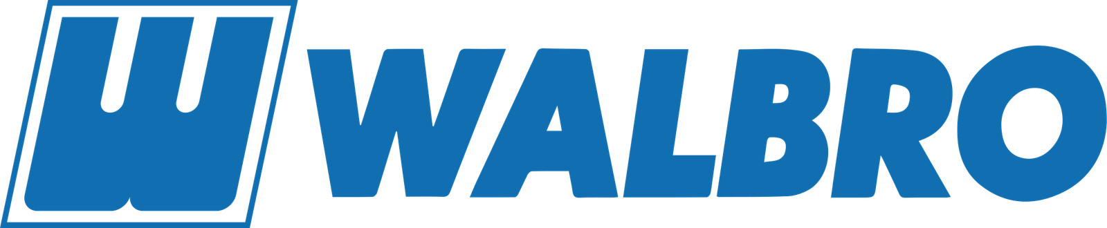 Walbro K22-HDA Repair Kit