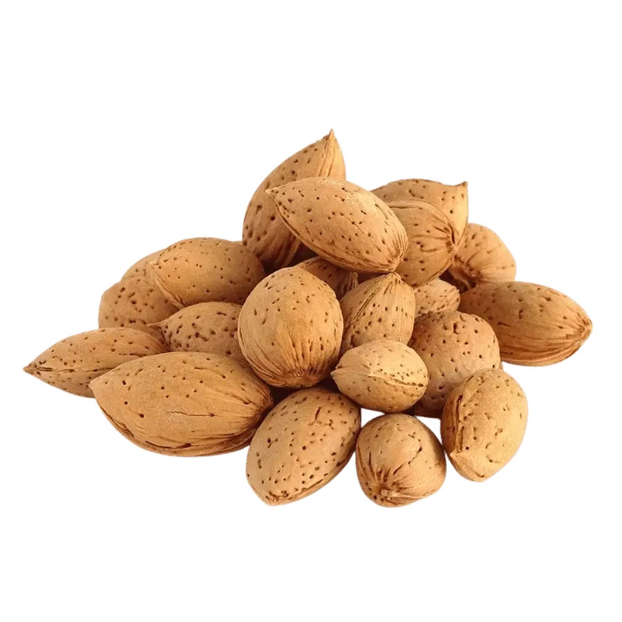 Whole Almonds In Shell | Fresh Natural Almond Nuts | Premium Snack | Free Ship