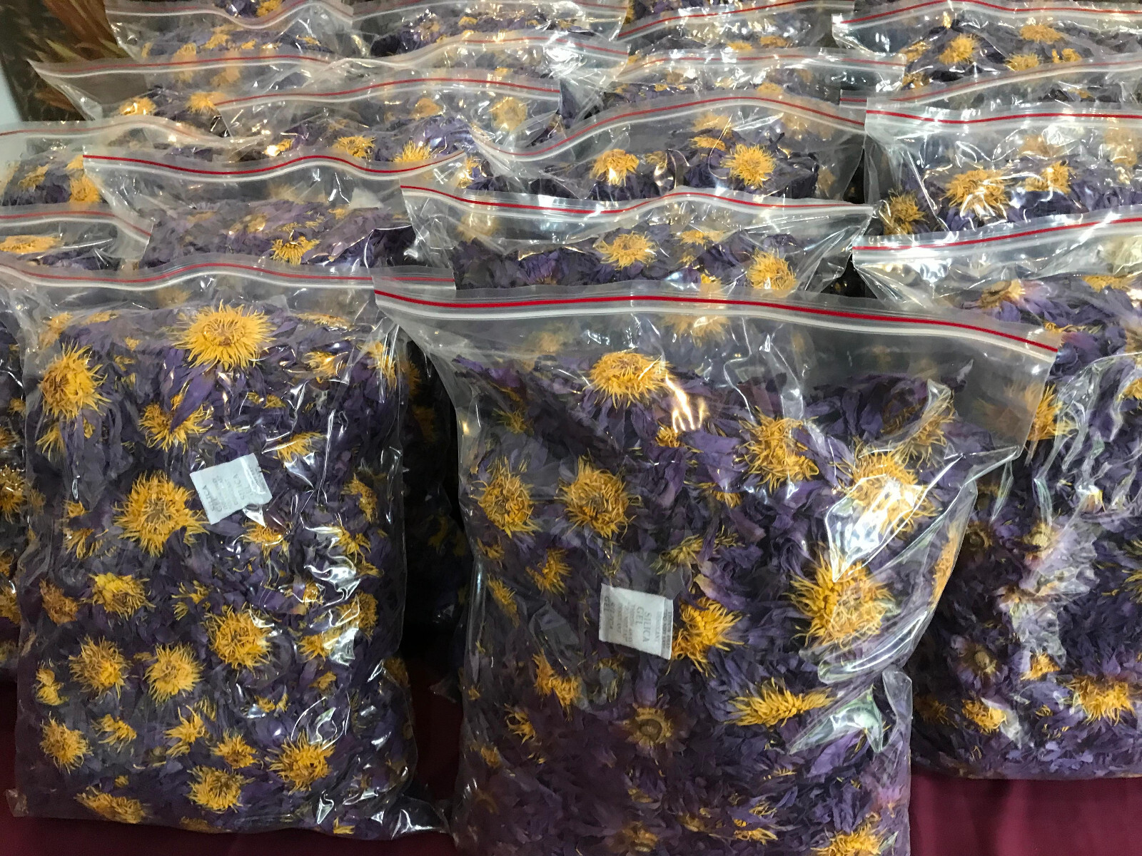 Ceylon Blue Lotus Flower Nymphaea Caerulea Dried Organic Flowers Egyptian Tea