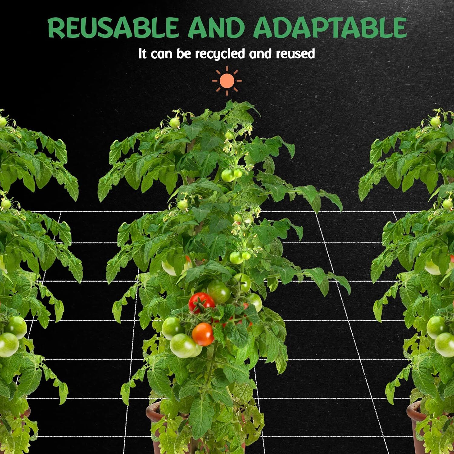 Seedfactor Plant Trellis Netting + Square Mesh 5 x 30 ft Duty Polyester Grow Net