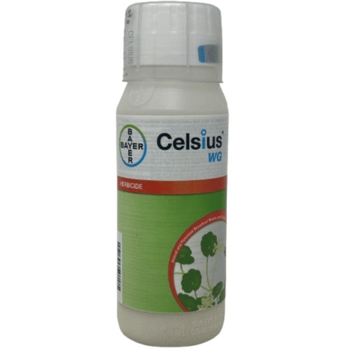 Celsius WG 10oz