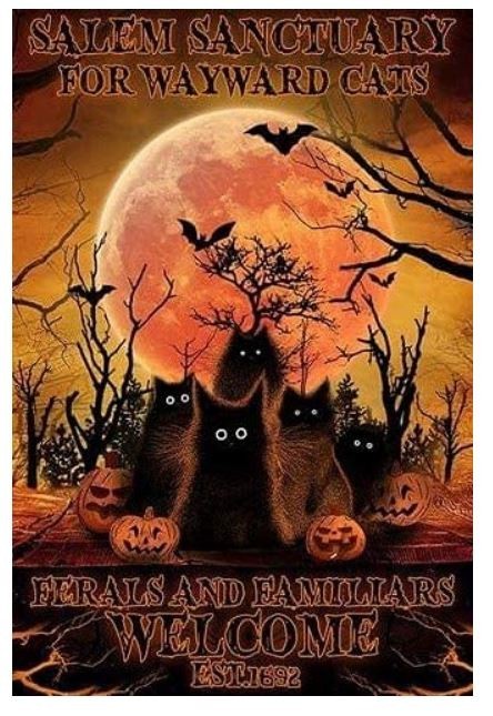 Salem Sanctuary for Wayward Cats Metal Sign 8×12” – Halloween Black Cat Pumpkins