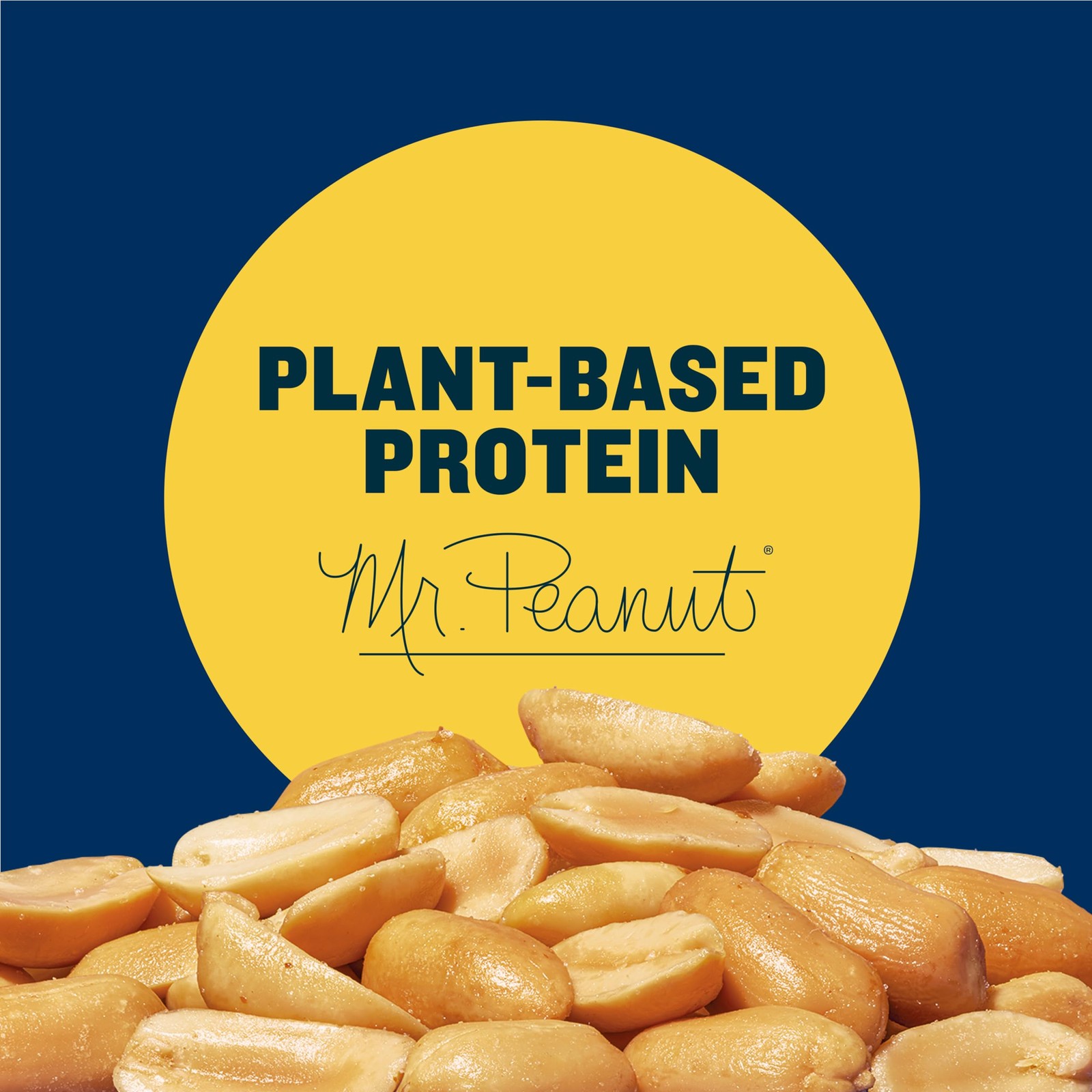 PLANTERS Dry Roasted Peanuts, Plant-Based Protein, 16 Ounce (Pack of 1)