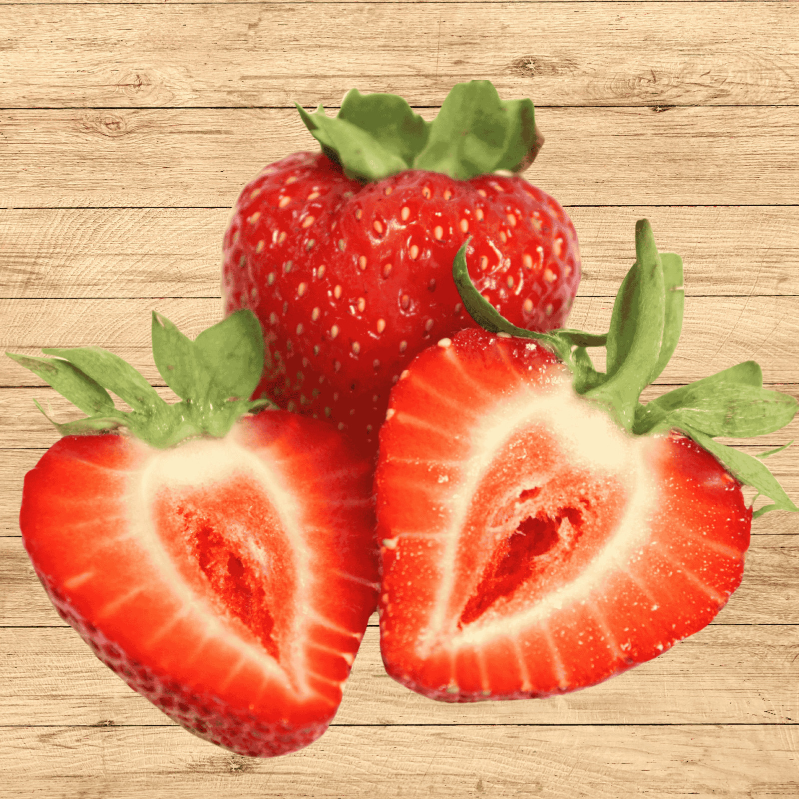5 Albion Strawberry Roots – Bare Root Plants | Day-Neutral Everbearing Variety