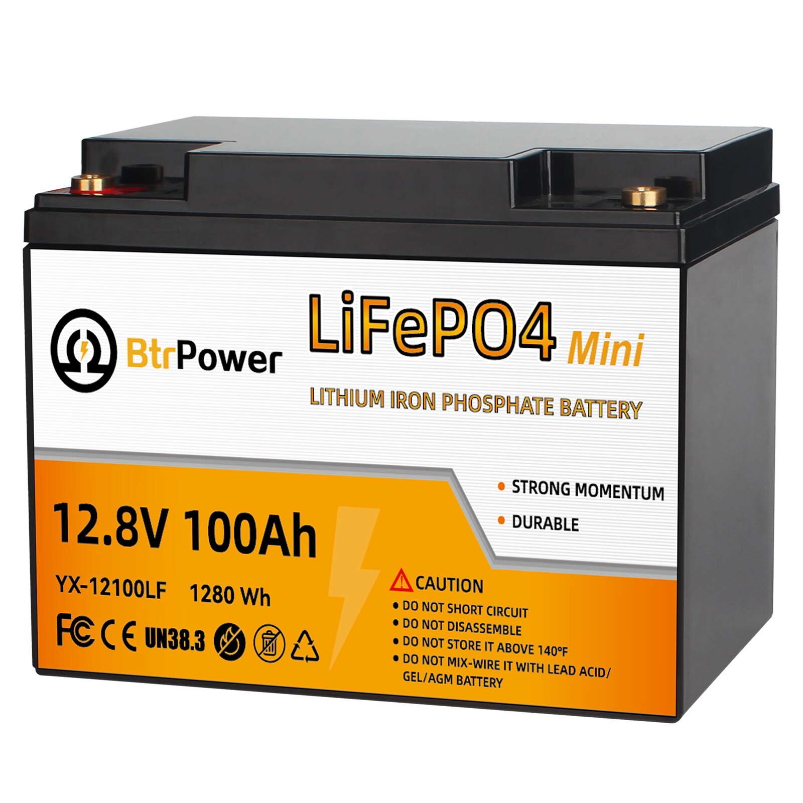 Btrpower 12V 100Ah Group 24 LiFePO4 Lithium Battery for RV Marine Solar System