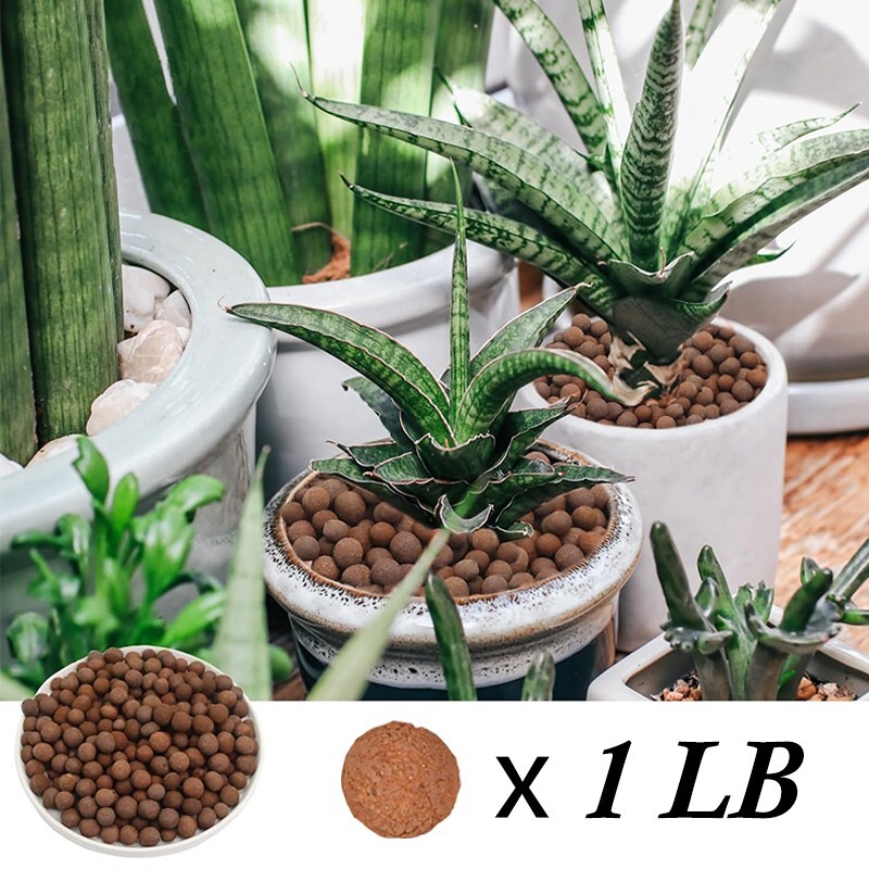 Plant expanded clay pebbles, suitable for indoor, outdoor and hydroponic growth