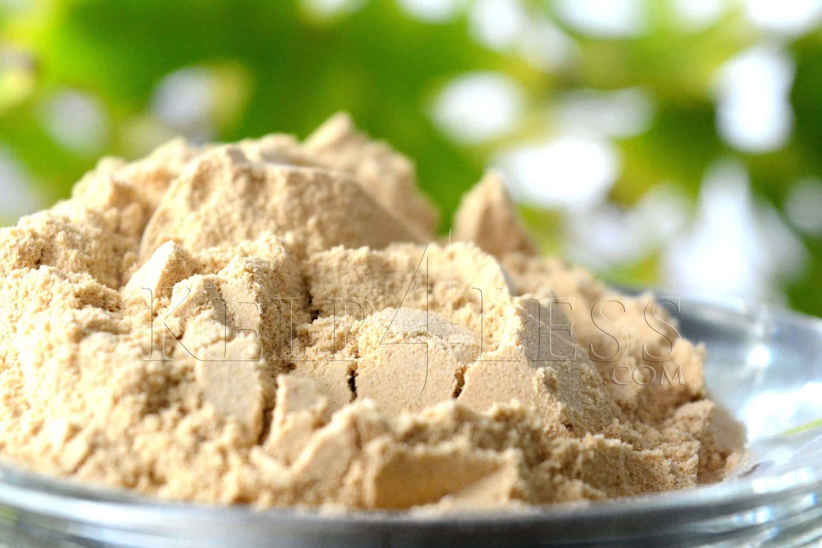 ORGANIC ENZYME POWDER (1, 4, 8 OZ OR 1 LB) {YOUR CHOICE OF SIZE}