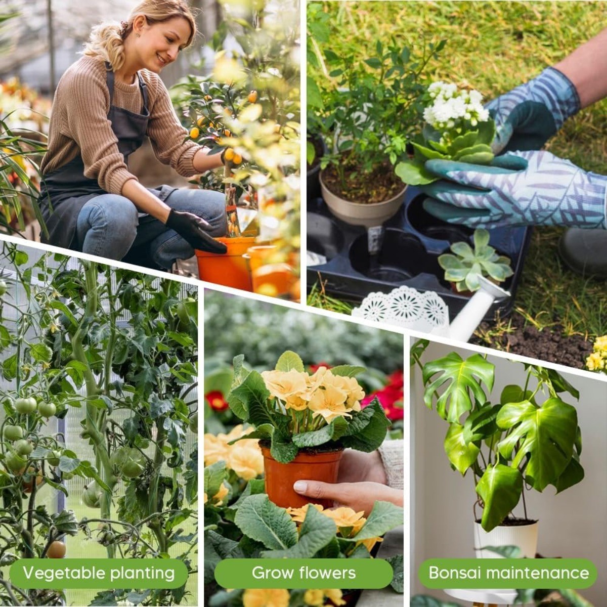 20-Pack Stackable Monstera Plant Support Stakes for Climbing Plants Stem Support
