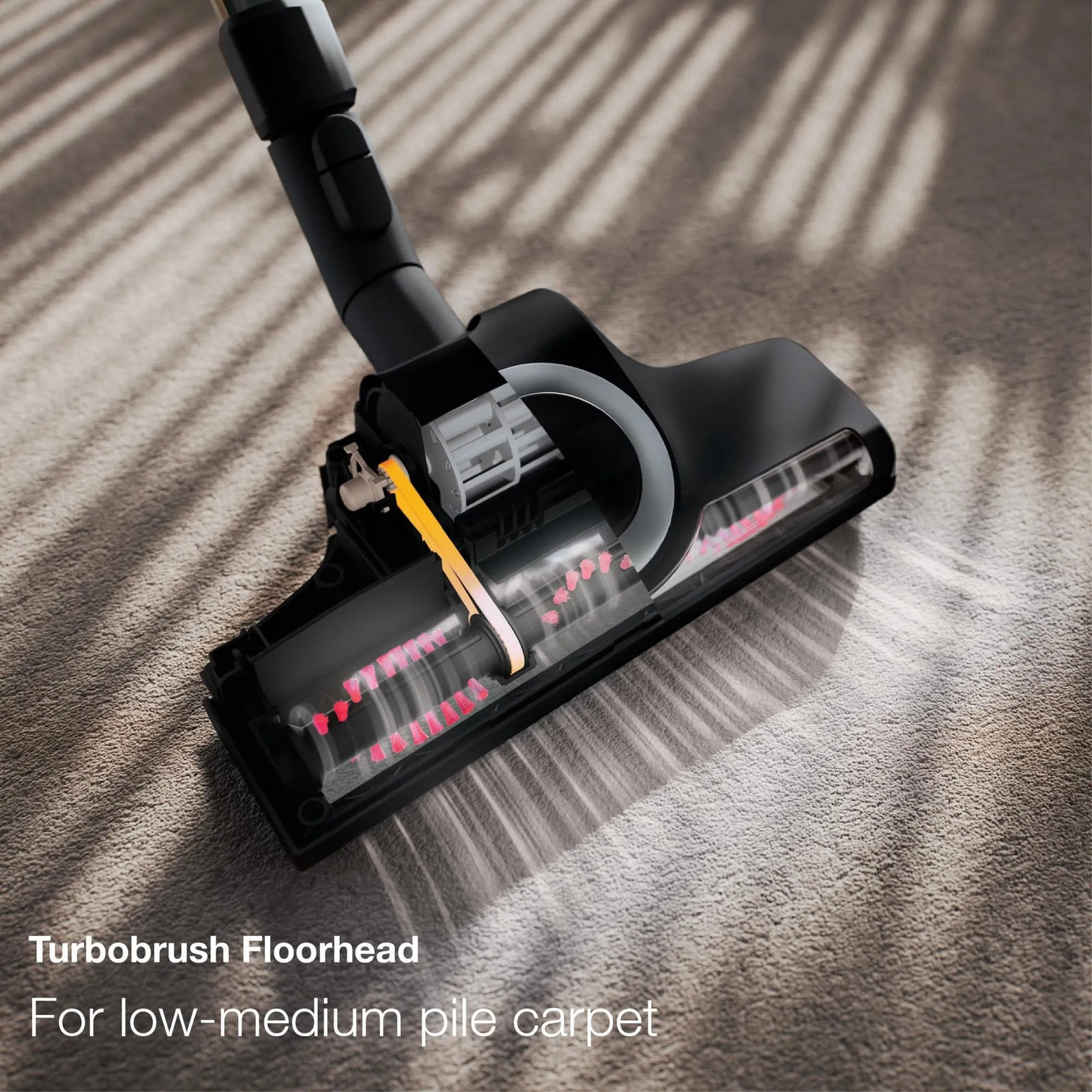 Miele 12369910 Complete C3 Multi Surface Care Bagged Canister Vacuum Marine Blue