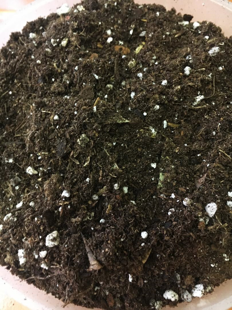 All purpose light-weight aerated organic potting mix for indoor plants 8 oz
