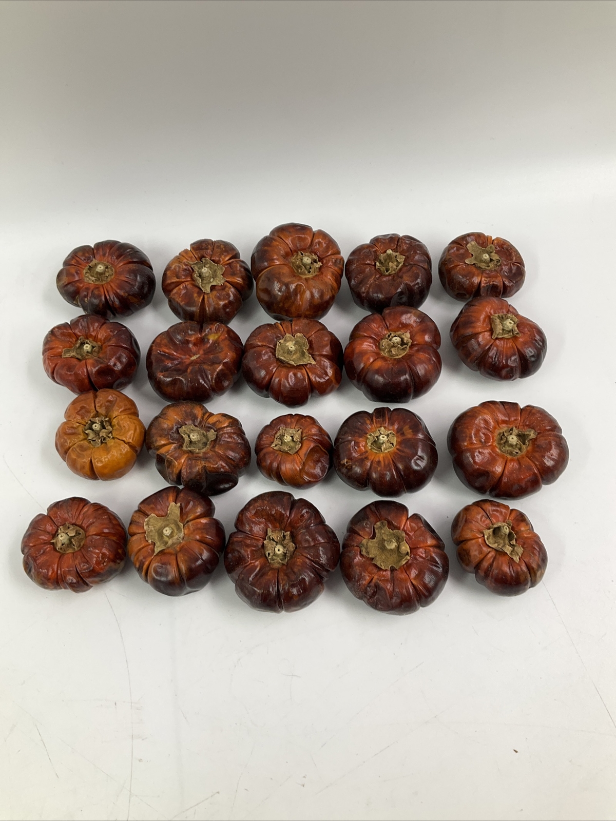 Fully Dried Mini Pumpinos Pumpkin Peppers Fall Orange Vase Filler Decor Craft