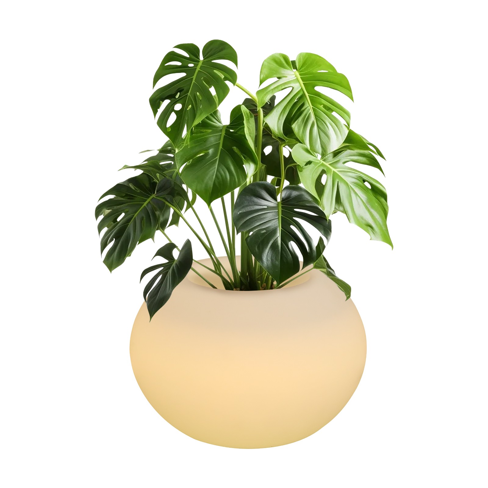 LED Flower Pot Light with Remote Multi Color Changing Colorful Flowerpot Planter