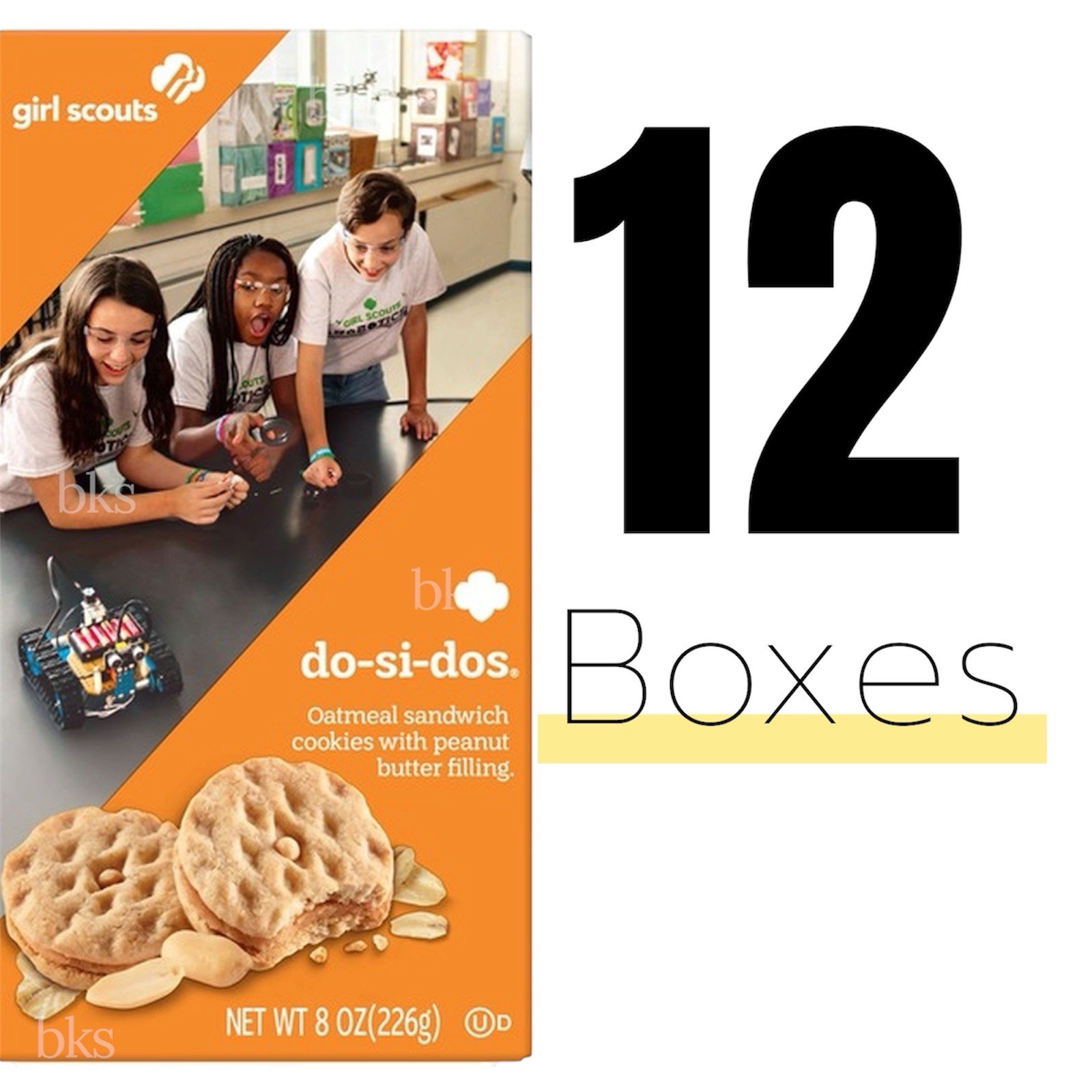 12 Boxes Girl Scouts Do Si Dos Cookies Oatmeal Peanut Butter Sandwich Lot Snack