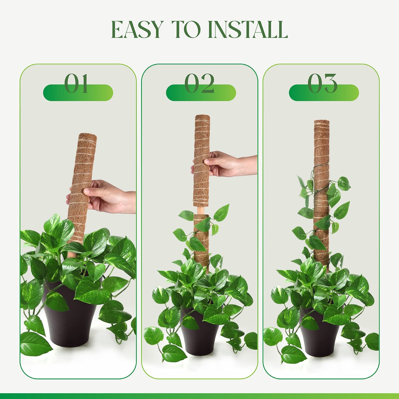 Moss Pole for Plants Monstera, Extendable Plant Sticks Support, Plant Stakes …