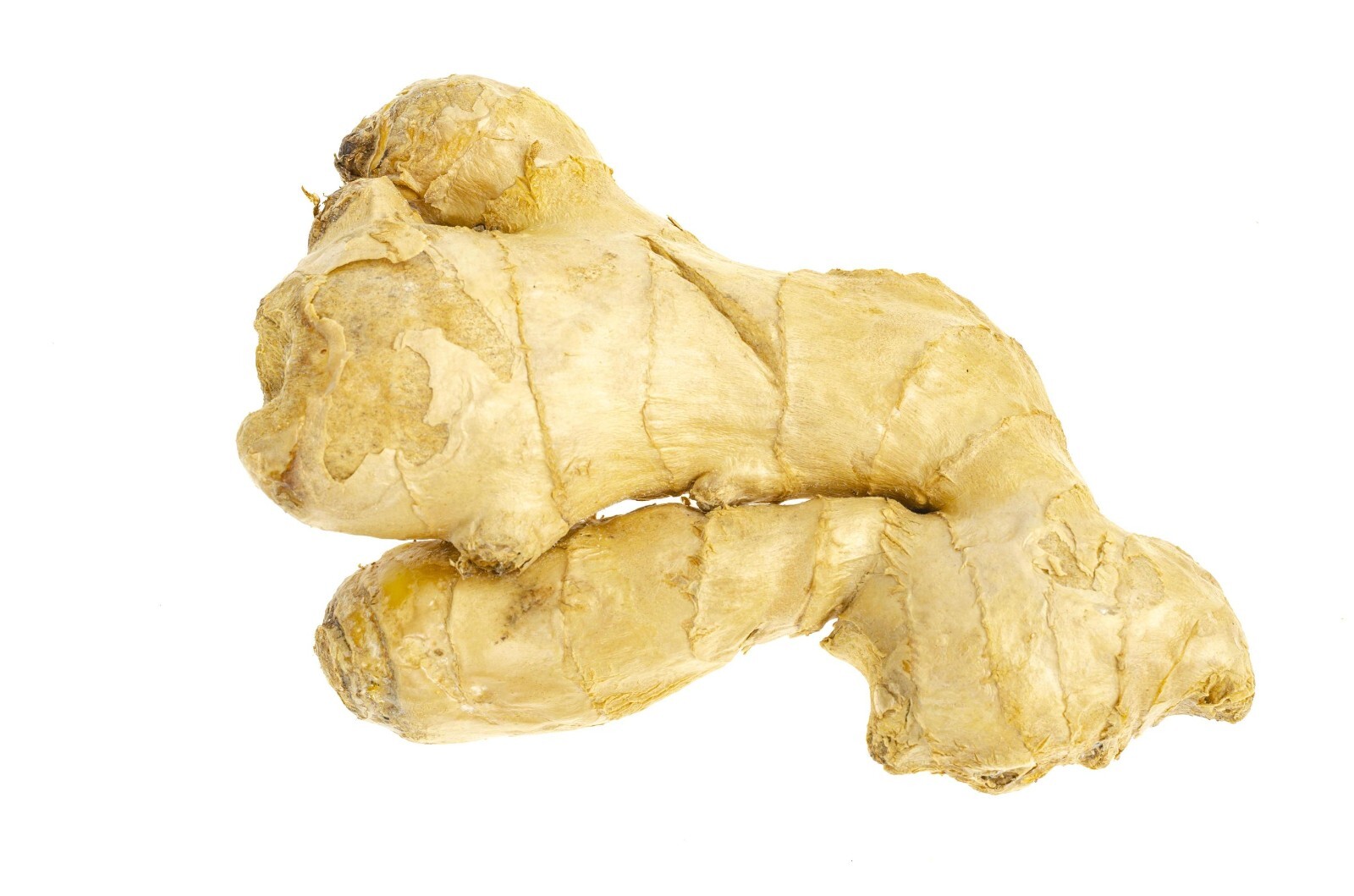 Ginger Root (Rhizome), Whole, Ginger is a spice that comes from the rhizome.
