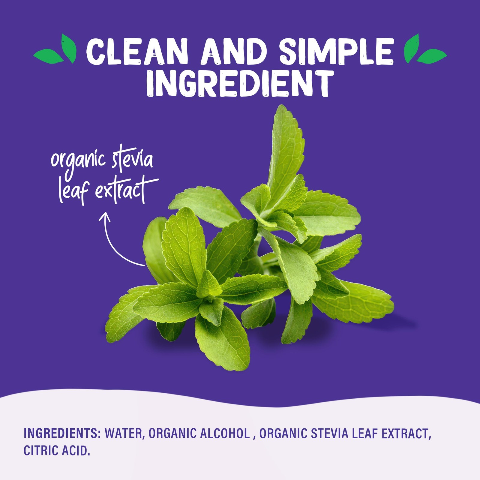 Pyure Liquid Stevia Extract | Zero Calorie Sugar-Free Sweetener, 1.8 Oz | Organi