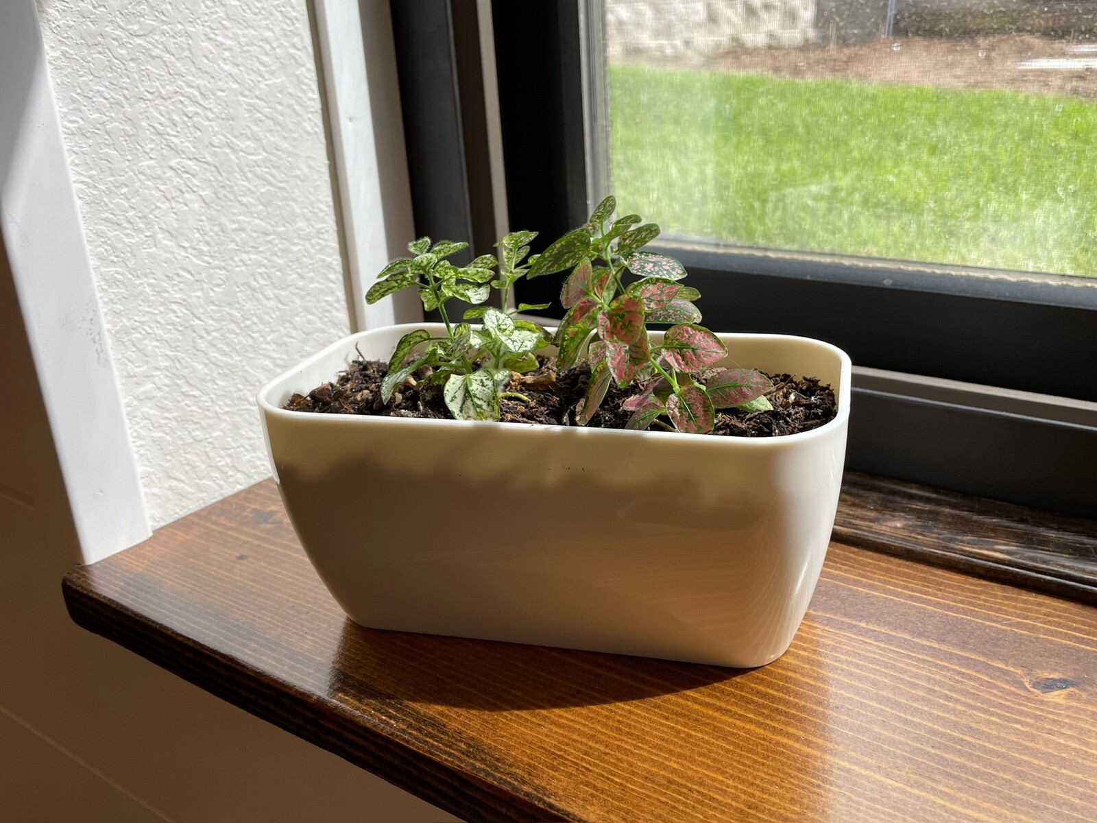 Self Watering Small Rectangle Planter New 7.2 in x 3.8 in x 3.2 in  
