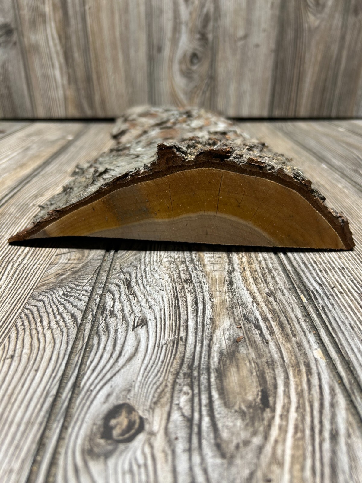 Cherry Bark Unique Slab Approximately 18 x 9 x 2 Inches