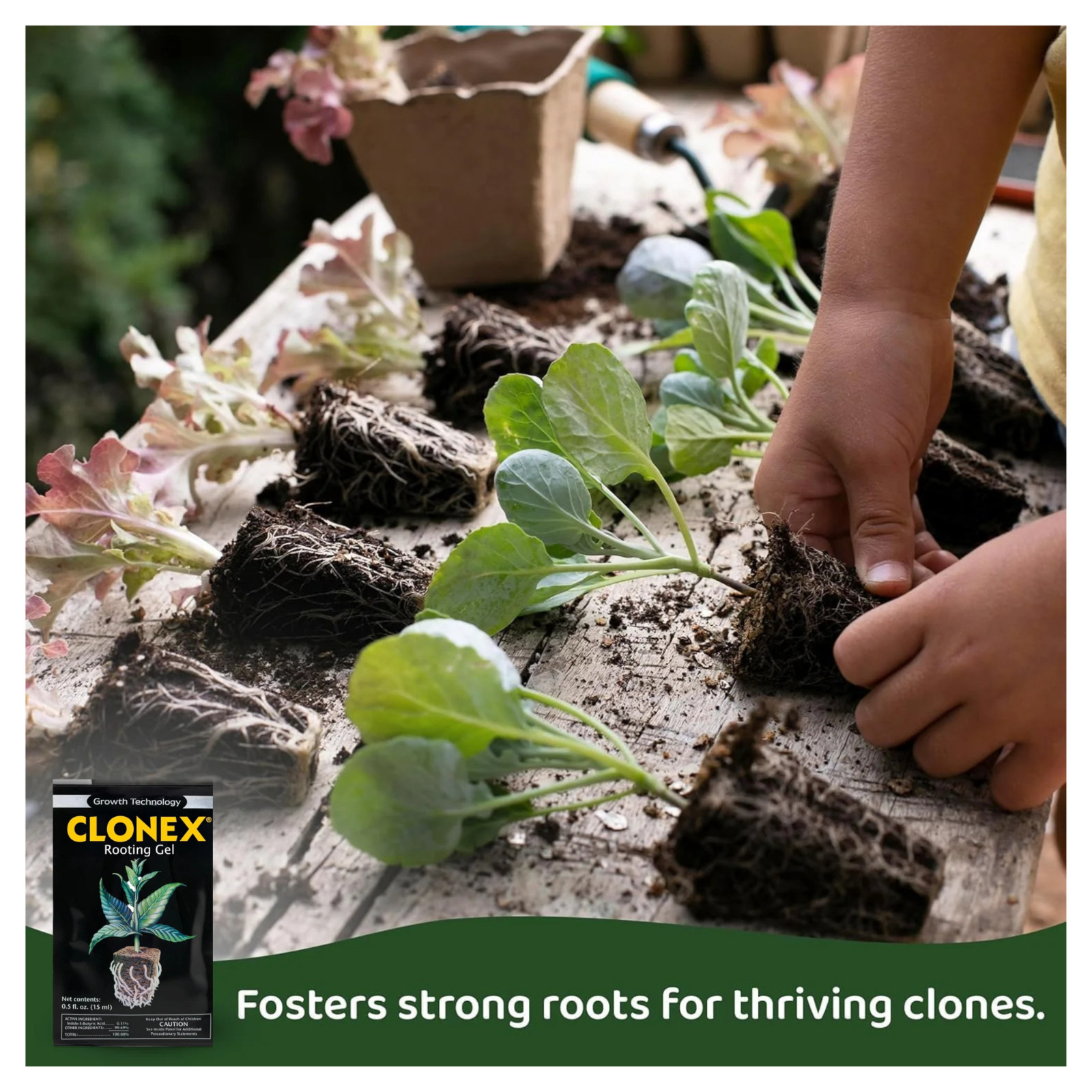 Clonex Rooting Gel 15ml Packets 18 Count Case for Plant Cuttings Clones Seedling